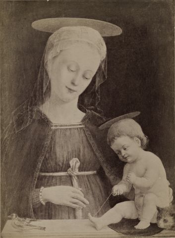 Anonimo — Spanzotti Giovanni Martino il Giovane - attr. - sec. XV/ XVI - Madonna con Bambino che gioca con un uccellino — insieme